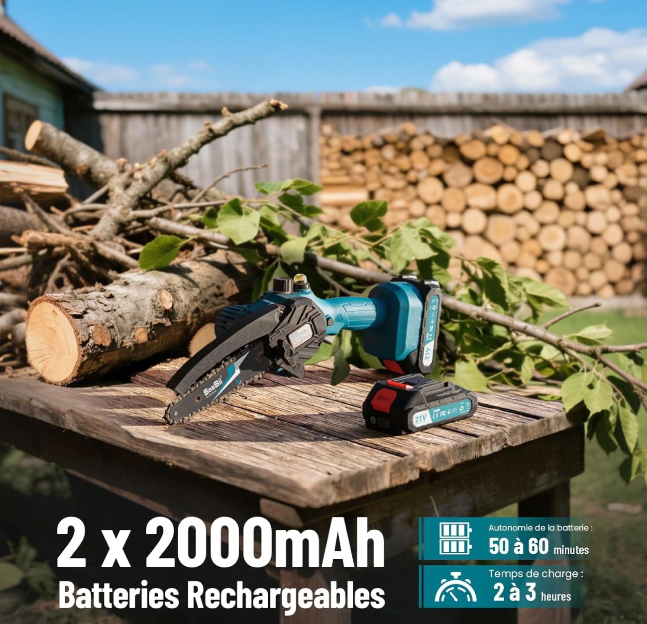 Test COMPLET de la Mini Tronçonneuse Sans Fil Seesii
